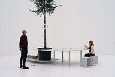 OneTreeID-How to Become a Tree for Another Tree, installation shot, ostock, 2019