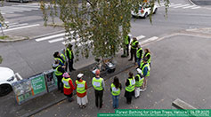 Forest Bathing for Urban Trees, Helsinki, 2025l &copy; Agnes Meyer-Brandis