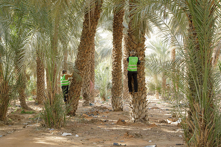 OTM agents investigatingh Trees in Riyadh &copy; Agnes Meyer-Brandis, VG Bildkunst 2026