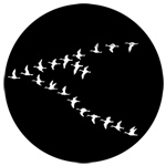 logo moon goose experiment